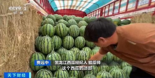 起凤吃瓜,揭秘娱乐圈背后的那些事儿