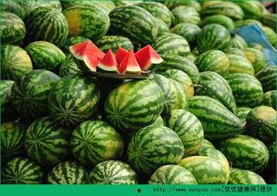 早上吃梨瓜好吗,早上吃梨瓜，健康美味两不误