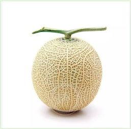 吃瓜群众折扇,夏日纳凉，品味生活小确幸