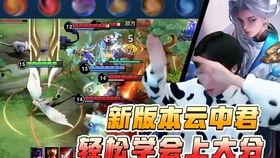 佳佳瓜吃鸡,一场欢乐的美食冒险之旅