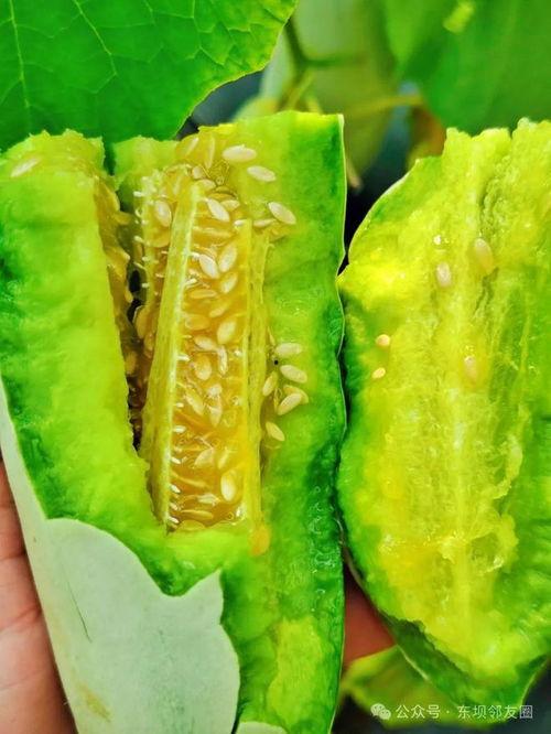 去年吃的什么瓜,回顾去年那些令人震惊的幕后故事