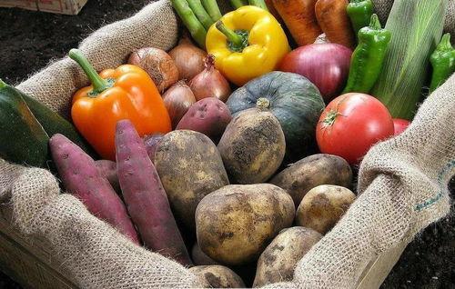 斯美尔吃瓜哥吃菌子,一场菌子与瓜果的美食之旅