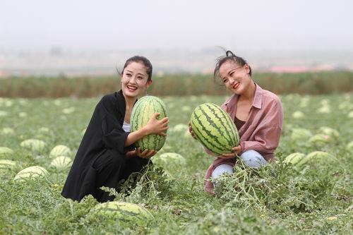 吸引吃瓜,那些年我们一起吃过的瓜