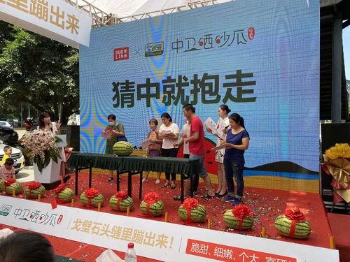 吃瓜发布会,一场娱乐与商业的跨界盛宴