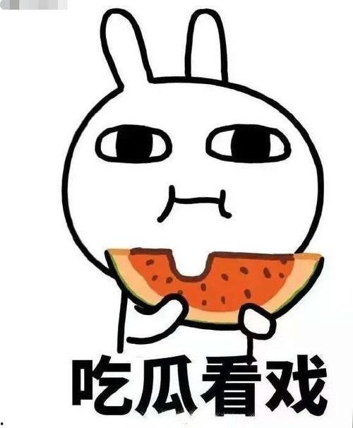 妗妗吃瓜完结,一场娱乐圈的狂欢盛宴落幕