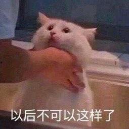 朝阳群众坐等吃瓜,坐等吃瓜，见证时代变迁