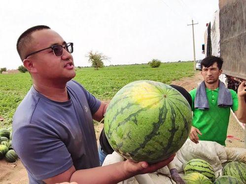 轻生边吃瓜,轻生者与围观者的双重悲剧