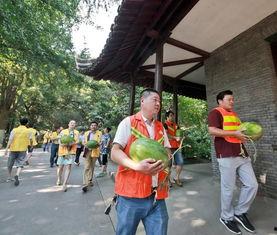 定边吃瓜群众,揭秘当地热点事件背后的故事