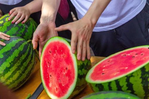 山东某学院吃瓜,揭秘校园内幕，真相大白！