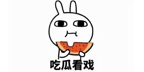 吃瓜感人片段素材下载,揭秘吃瓜感人的幕后故事