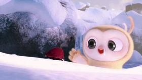 吃瓜比赛爆笑视频,吃瓜比赛爆笑视频盘点，笑到肚子疼！