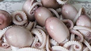 塞章鱼事件吃瓜,一场惊心动魄的海洋奇遇记