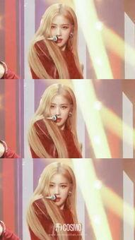 rose女士吃瓜,Rose女士的瓜田奇遇记