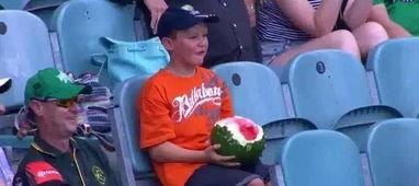 澳洲人吃瓜群众,揭秘本土热门话题背后的真相