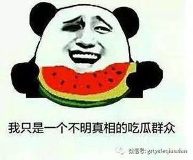 吃瓜吊打,捍卫真相