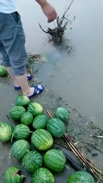 河边吃瓜,吃瓜群众的夏日午后