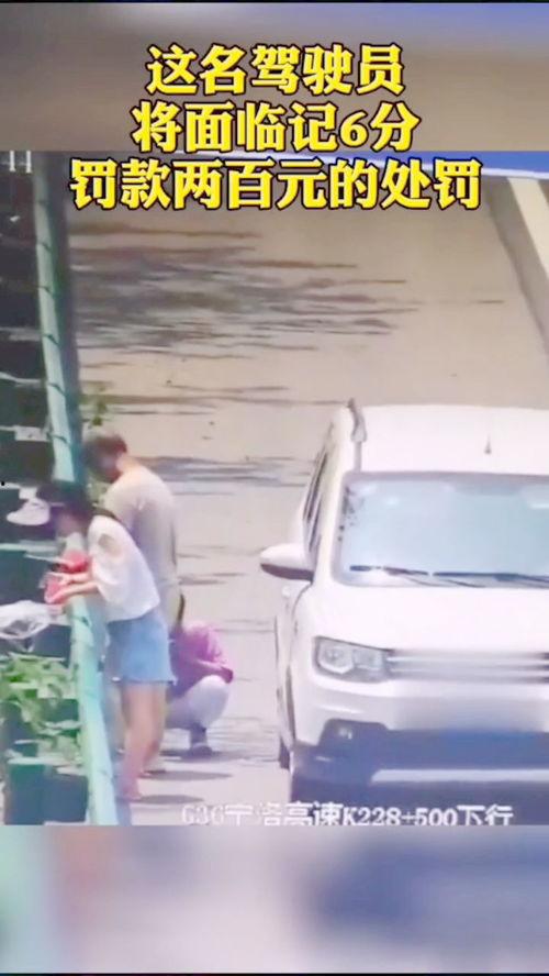 吃瓜群众蚌埠,吃瓜群众眼中的城市风采