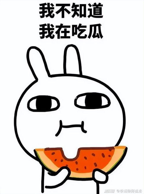 熊仔吃瓜,揭秘娱乐圈的甜蜜与苦涩