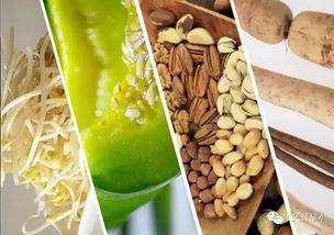 春吃芽夏吃瓜冬吃根,春芽、夏瓜、冬根的智慧