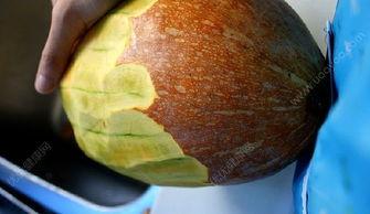 吃瓜胃酸出来了