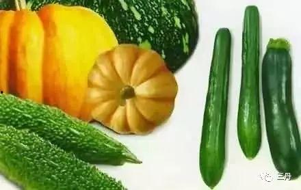 吃老瓜去火吗怎么吃的,老瓜去火食谱大揭秘