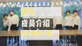 仓鼠吃不吃哈密瓜,仓鼠饮食新选择，吃不吃大揭秘