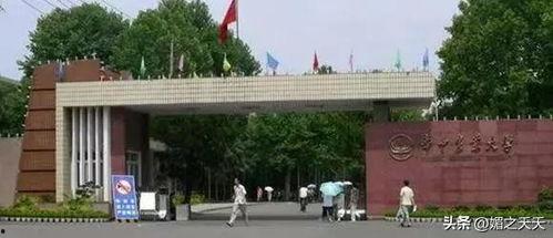 华中农业大学表吃瓜,表吃瓜背后的校园文化现象解析