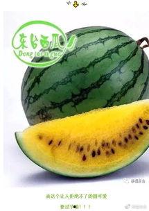 岑岑吃瓜集合,揭秘娱乐圈那些不为人知的幕后故事