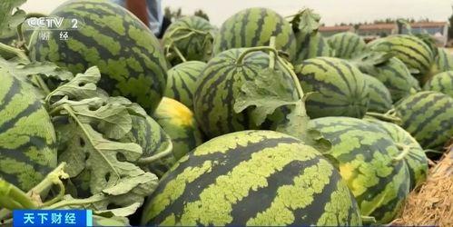 元禄现场吃瓜 第2张 元禄现场吃瓜 第2张