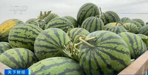 元禄现场吃瓜 第3张 元禄现场吃瓜 第3张