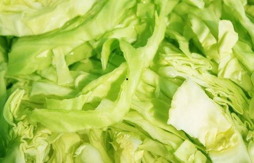 泉州理工吃瓜,一场“吃瓜”事件背后的校园生活百态 第3张 泉州理工吃瓜,一场“吃瓜”事件背后的校园生活百态 第3张