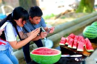 苞米地里吃瓜群众,揭秘农村生活百态