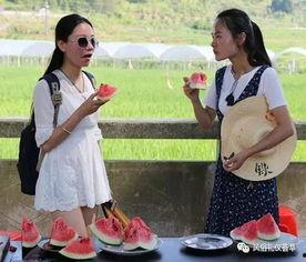 苞米地里吃瓜群众,揭秘农村生活百态 第3张 苞米地里吃瓜群众,揭秘农村生活百态 第3张