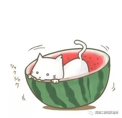 qq头像吃瓜动漫,揭秘二次元世界的趣味瞬间 第2张 qq头像吃瓜动漫,揭秘二次元世界的趣味瞬间 第2张