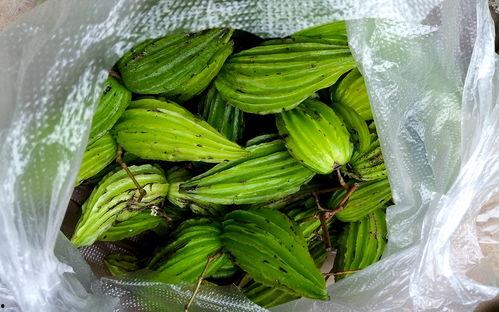 大妈云南吃瓜  第2张