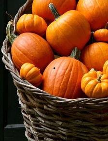 吃瓜不能停婚礼,一场别开生面的欢乐盛宴  第3张