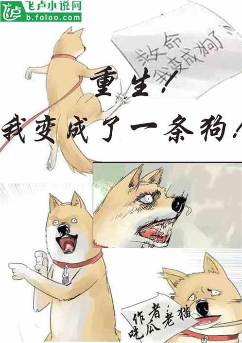 吃瓜人士小说下载,揭秘吃瓜人士小说下载背后的故事