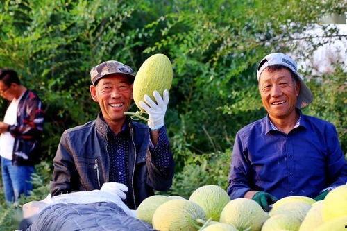 农村巴扎吃瓜,农村巴扎里的夏日风情