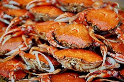 蟹蟹吃瓜,揭秘娱乐圈的甜蜜瓜田 第2张 蟹蟹吃瓜,揭秘娱乐圈的甜蜜瓜田 第2张