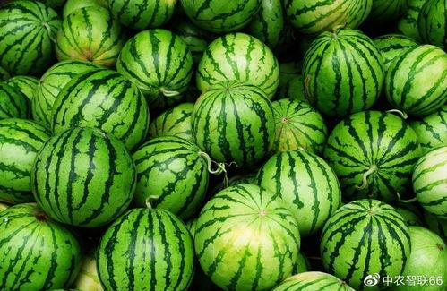 有吃瓜的网站 第3张 有吃瓜的网站 第3张